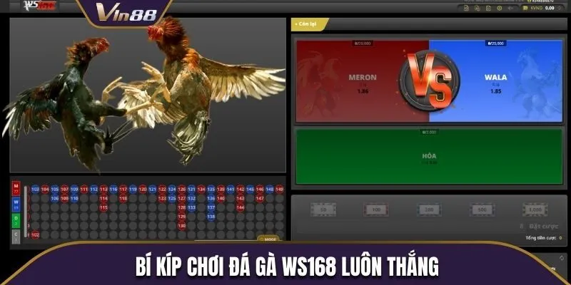 Bí kíp cá cược đá gà trực tuyến tăng tỷ lệ chiến thắng