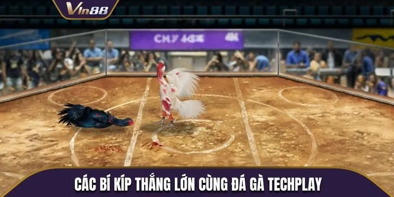 Các bí kíp giúp người chơi nâng cao tỷ lệ chiến thắng