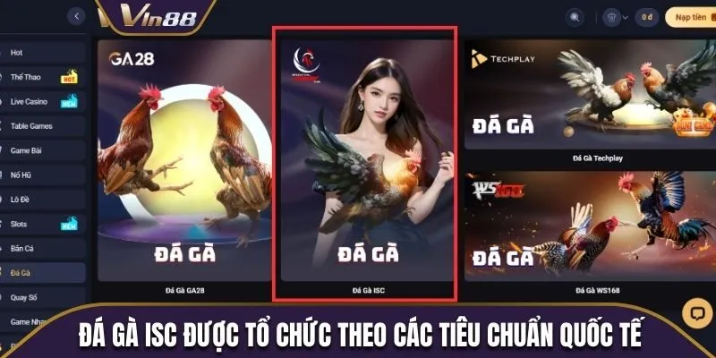Đá gà ISC được tổ chức theo các tiêu chuẩn quốc tế