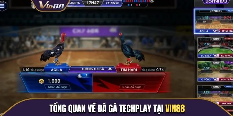 Góc nhìn tổng quan về trò chơi đá gà Techplay tại Vin88
